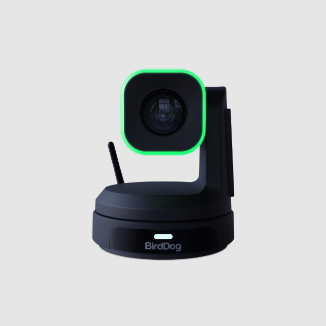 BirdDog X1 20x HD PTZ Camera (Black)